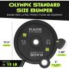 Rage Fitness Olympic Bumper Plates, Rubber Formula With Steel Insert (10lb, 15lb, 25lb, 35lb, 45lb – SOLD INDIVIDUALLY), Olympic Weight Plates for Strength Training, Bench Press, Squats, Powerlifting(15 lb)